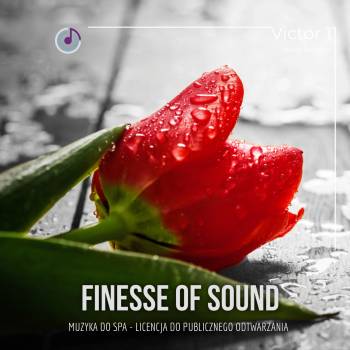 Finese of Sound 1 – Bartosz Domagała na CD